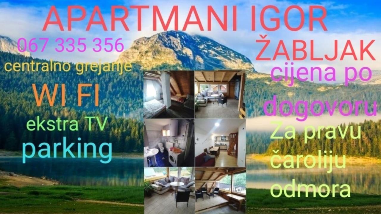 Apartments Igor Žabljak Extérieur photo